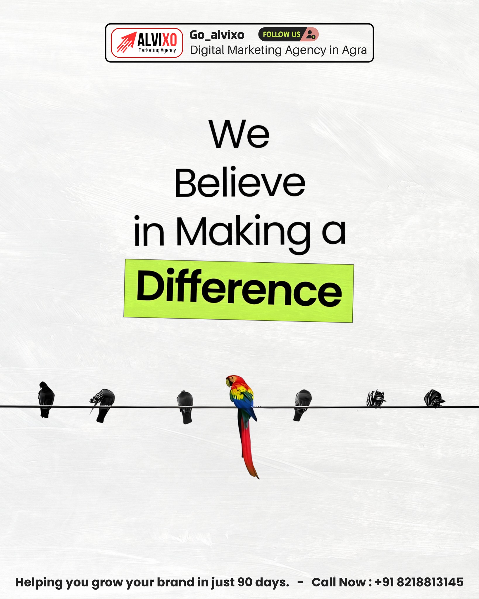 Digital marketing campaign creative for an Agra business