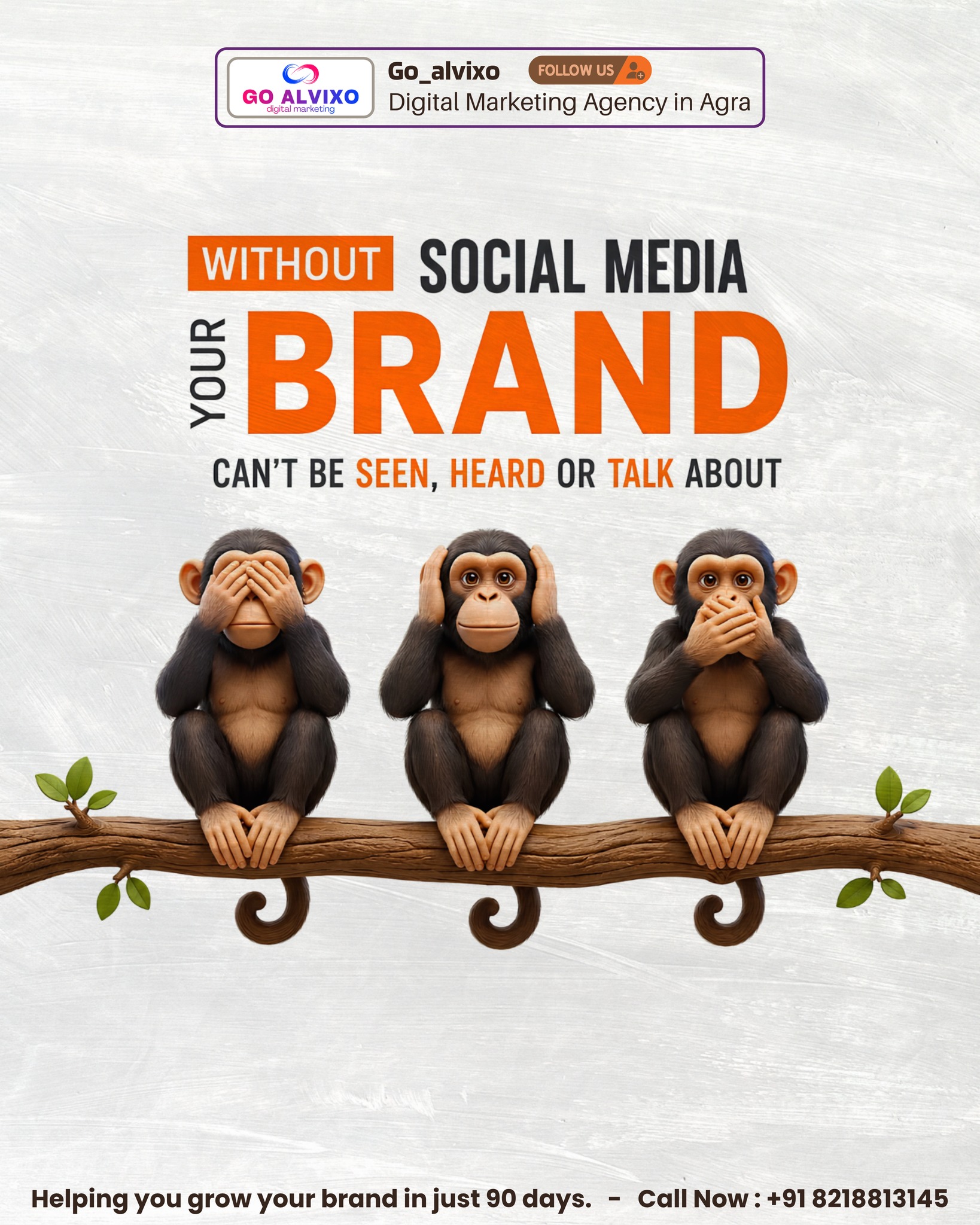 Brand promotion graphic from the ALVIXO Promotions portfolio